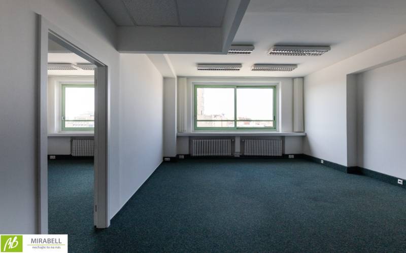 Spacious offices with a large window and carpet, with plenty of natural light.
