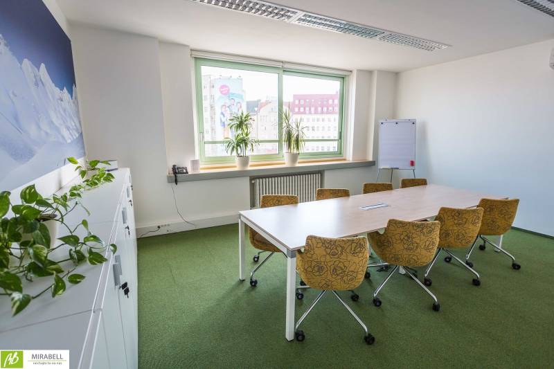 Offices with a desk and chairs, greenery, and a window with a view of the city.
