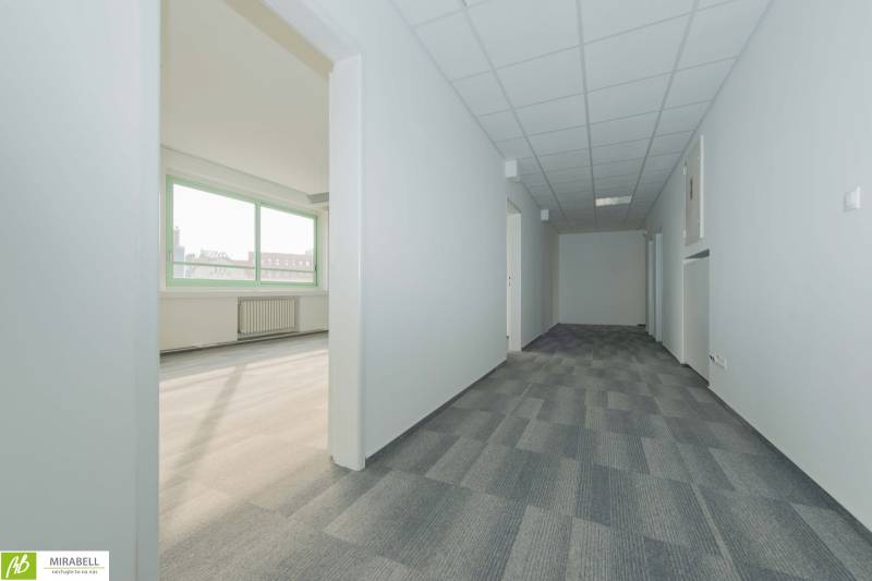 Offices with a view, gray carpet, and white walls for a work environment.