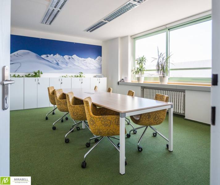 Offices with green carpet, yellow chairs, and a large mountain mural.