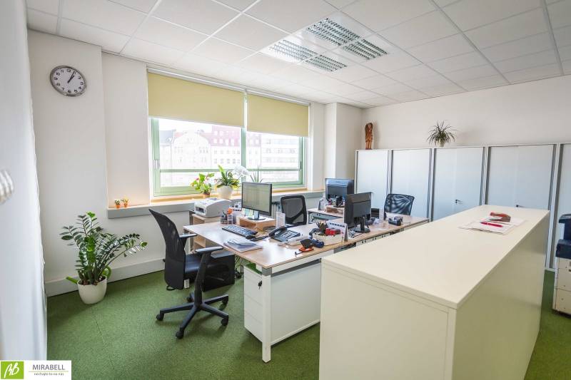 Offices with desks, computers, and greenery, equipment for comfortable work.