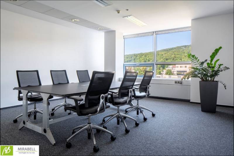 Office with a conference table and chairs, window with a view of greenery.