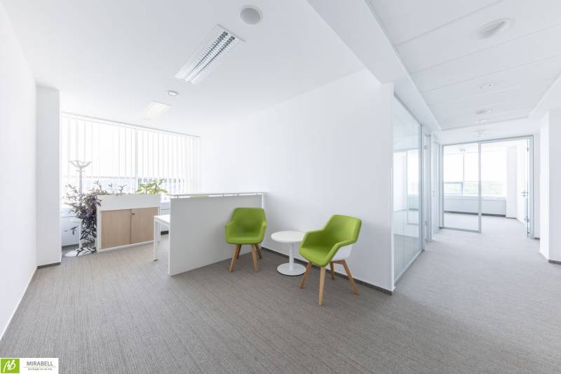 Bright office with comfortable chairs and a conference table, decorated with plants.
