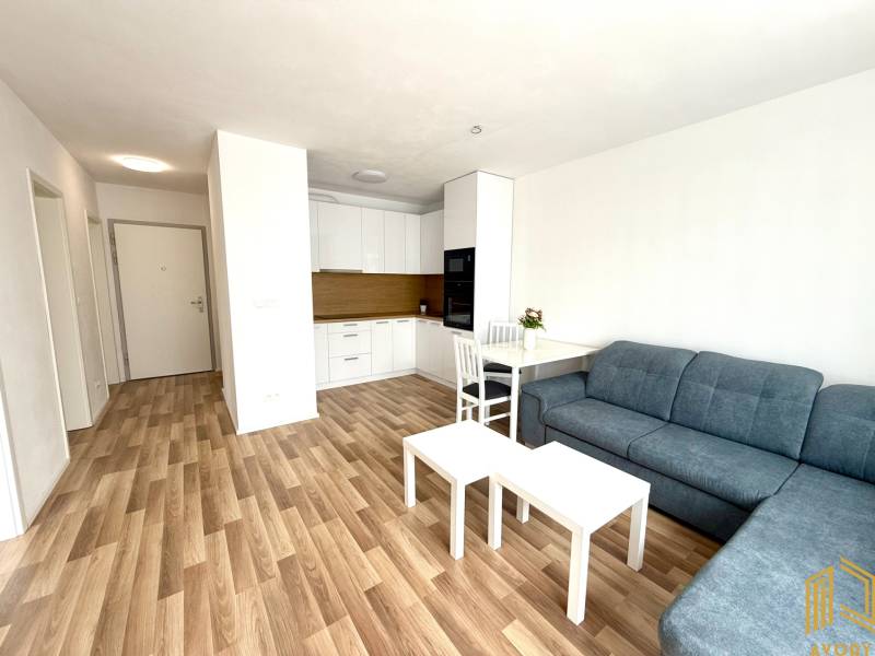 Living room in a two-room apartment with wooden flooring and a kitchenette.