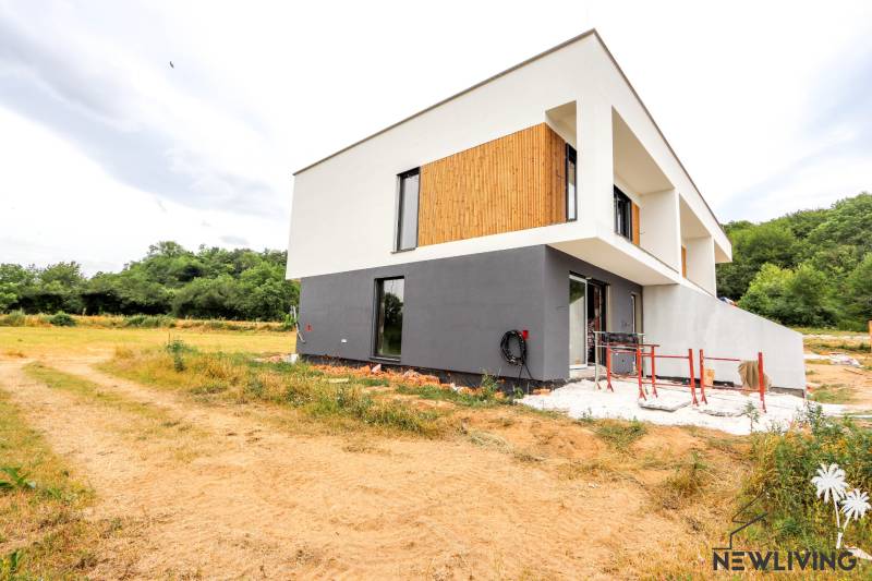A family house in Piešťany surrounded by nature with a modern geometric design.