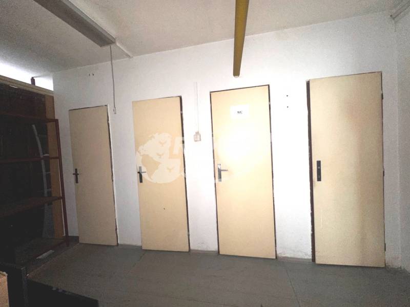 Interior of commercial premises with four doors and a shelf.