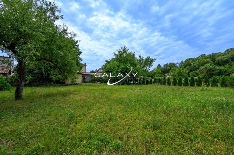 A garden with a lawn and a tree by a family house in Vidiná, surrounded by green nature.