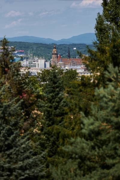 Panorama of Košice with a view of historic buildings surrounded by greenery and mountains in the background.