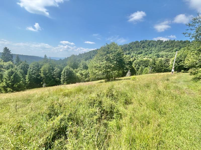 Countryside near the forest with a view of the mountains in Oščadnica, Dedovka area, residential plots.