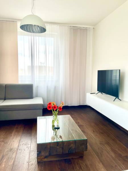 A room in a 2-room apartment with a sofa, TV, table, and flowers on the floor.