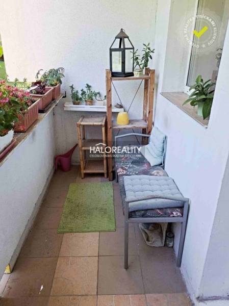 Balcony of a 3-room apartment with flowers, shelves, and seating in BA - Dúbravka.