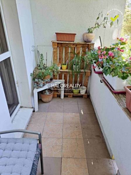 A balcony of a 3-room apartment filled with flowers and plants with a comfortable chair.