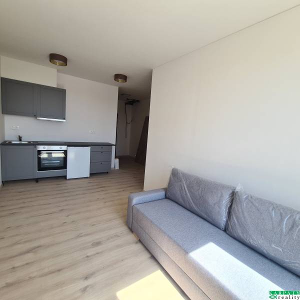 Interior of a one-room apartment with a kitchenette and a gray convertible sofa.