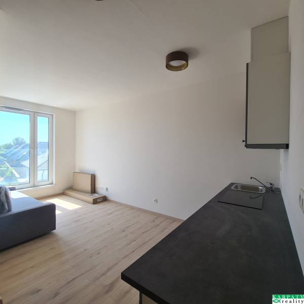 Bright living room with a kitchenette in a studio apartment, wooden floors, large window.