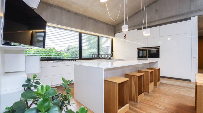A kitchen in a family house with a large island, wooden bar stools, and a plant.