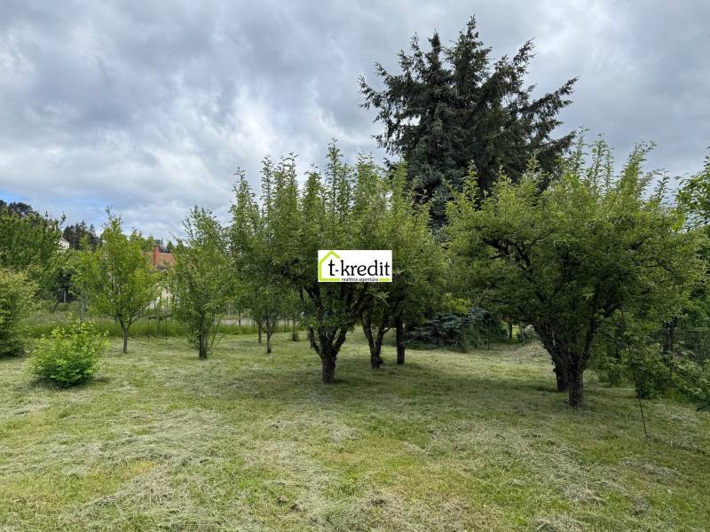 Garden with fruit trees in Skýcov, ideal for plots - living.