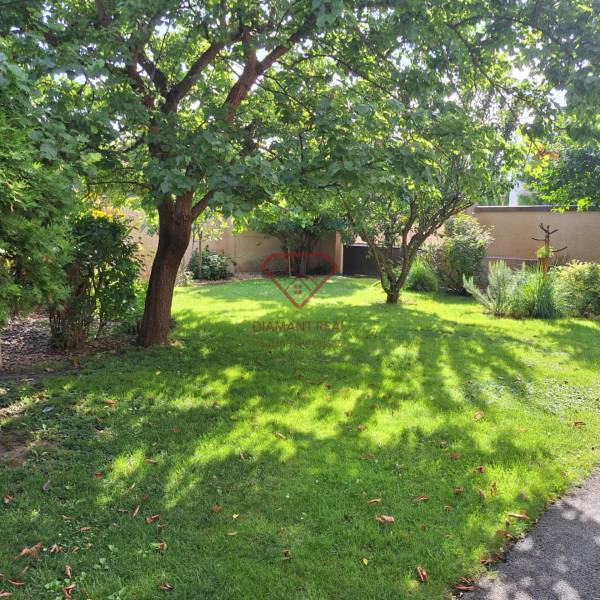 The garden of a family house on Šalská Street in Šaľa with a lawn and trees.