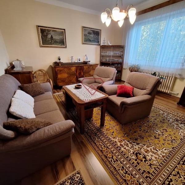 Living room in a family house with comfortable furniture and an oriental rug.