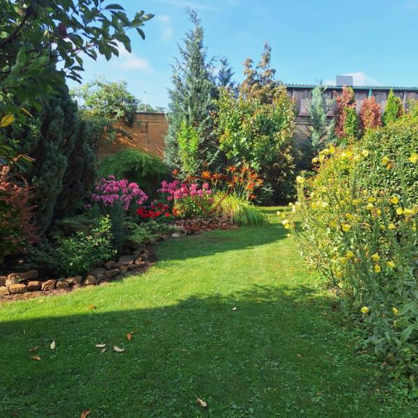 A garden with flower beds and trees behind a family house on Šalská Street in Šaľa.