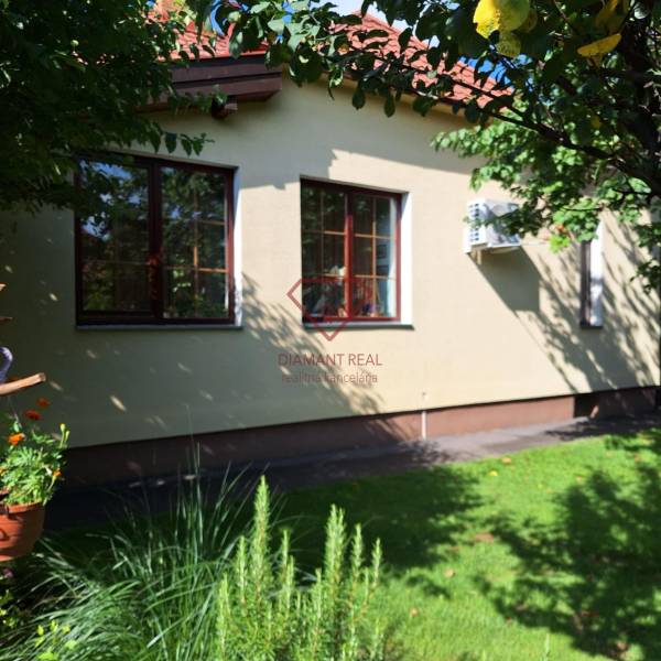 A family house on Šalská Street in Šaľa, surrounded by greenery and trees.