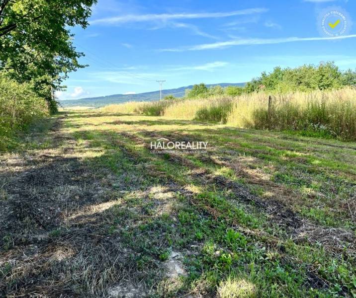 A grassy path between fields and trees in Kolibabovce, ideal for residential plots.