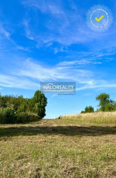 Plots - living in Kolibabovce, sunny landscape with blue sky and greenery.