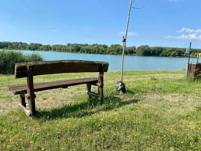 A bench by the lake surrounded by grass and flowers in Vojka nad Dunajom.