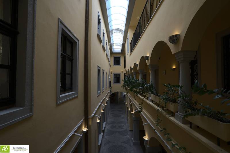 A hallway in offices with a glass roof and plants.