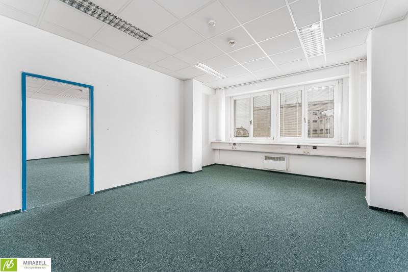 Offices with large windows and empty space, white walls, and green carpet.