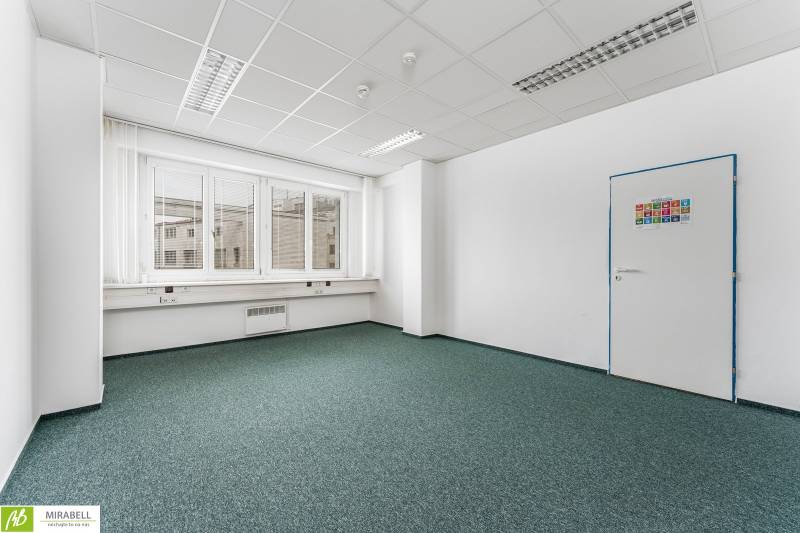 Empty office with carpet and windows, white walls, green carpet.