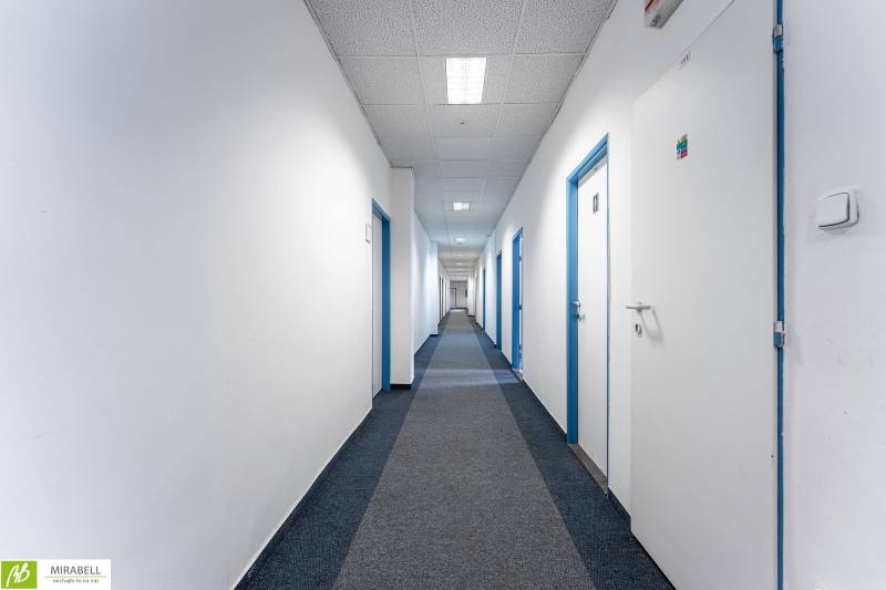 A long corridor with closed office doors with white walls and blue frames.