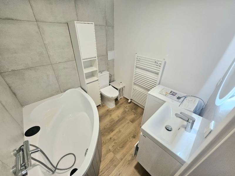 A bathroom with an oval bathtub, toilet, and washing machine in a studio apartment.