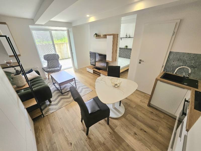 Living area in a studio apartment with a kitchenette and dining table.