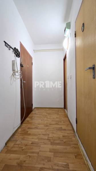 A hallway with a wooden floor in a 3-room apartment, with doors and a hanging hook.
