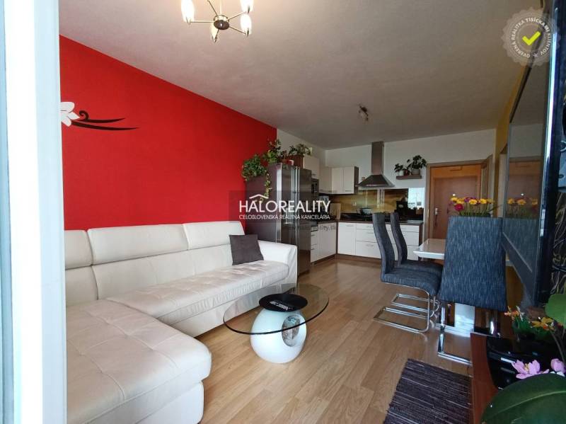 Living room with a red wall, white sofa, and kitchen in a two-room apartment.