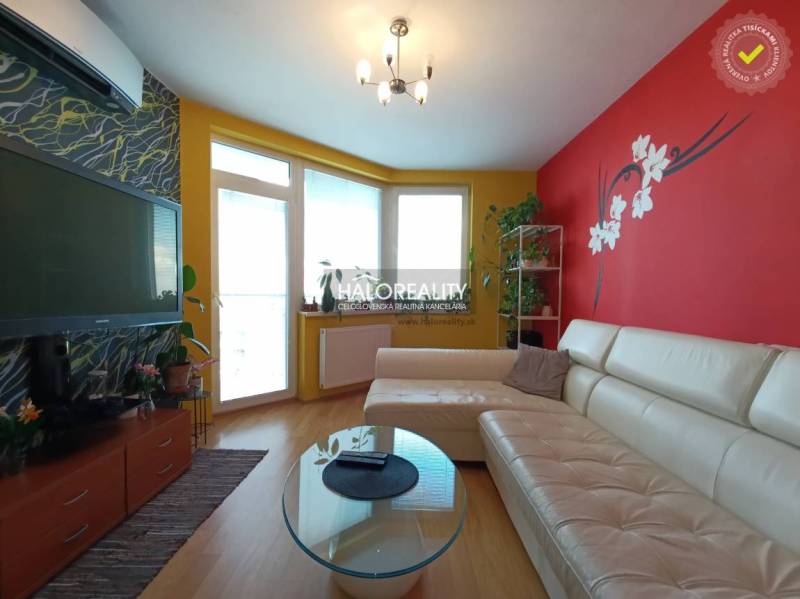 Living room in a two-room apartment with a white sofa, flowers, and a large television.