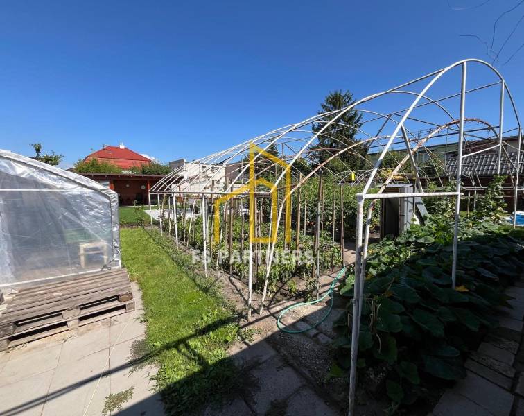 A garden at a family house in Komárno with a greenhouse and a structure for cultivation.