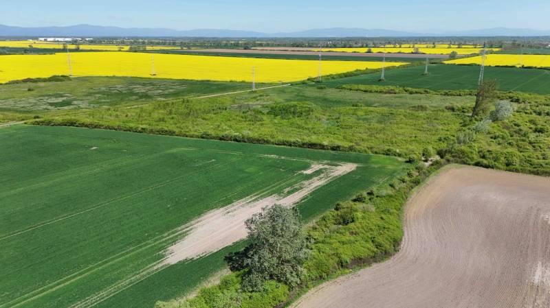 Agricultural and forest lands in Zemplínske Kopčany with colorful fields and a line of power poles.