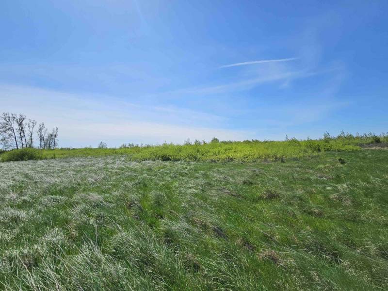 Agricultural and forest lands in Zemplínske Kopčany with grassy areas and a blue sky.