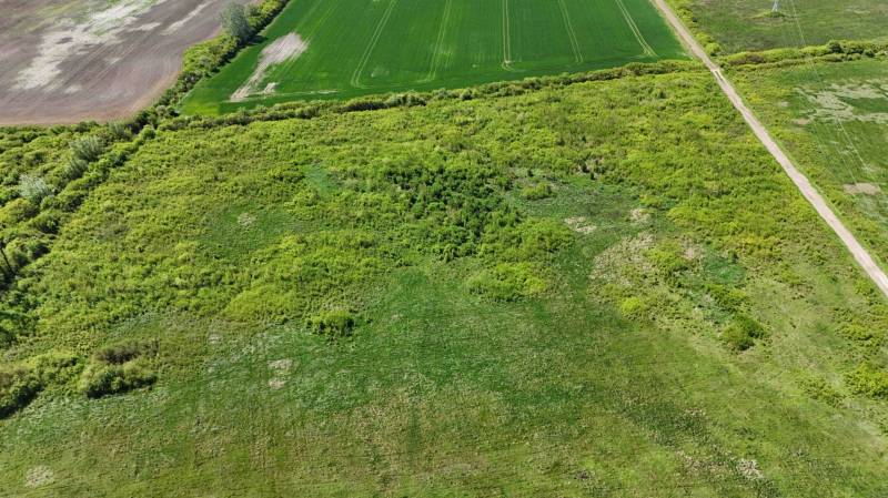 Agricultural and forest land in Zemplínske Kopčany, with diverse vegetation and a dirt road.