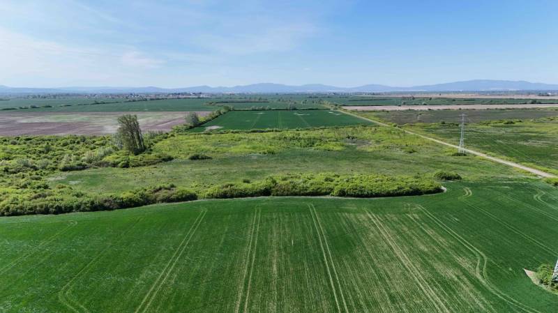 Zemplínske Kopčany: Extensive agricultural and forest lands with visible masts and greenery.