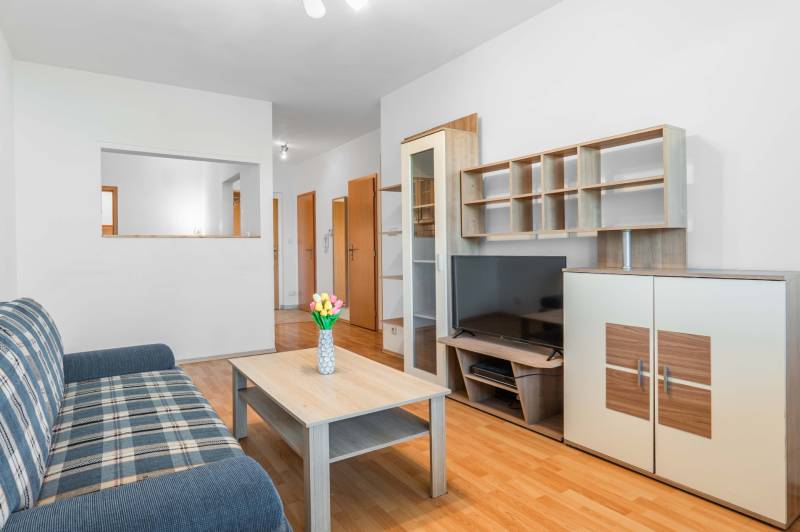 Living room in a two-room apartment with a sofa, table, and television.