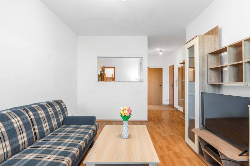 Living room in a two-room apartment with a sofa, coffee table, and floral accessory.