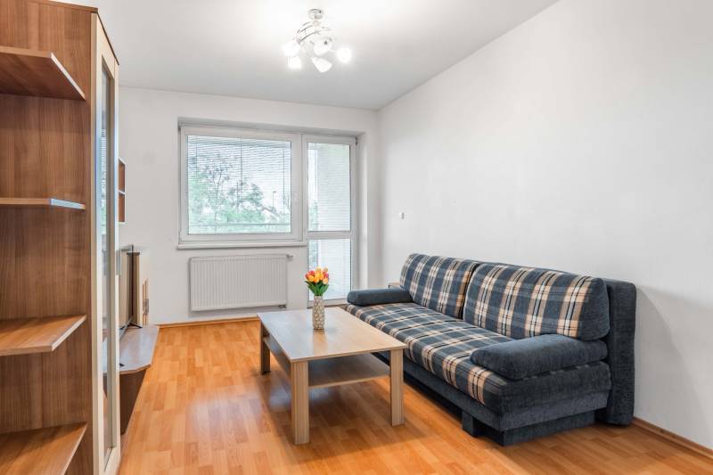 Living room in a two-room apartment with a sofa, coffee table, and shelves.