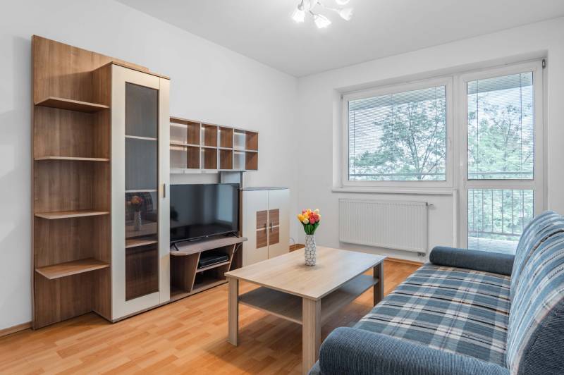 Living room in a two-room apartment with a sofa, TV, table, and windows with a view.