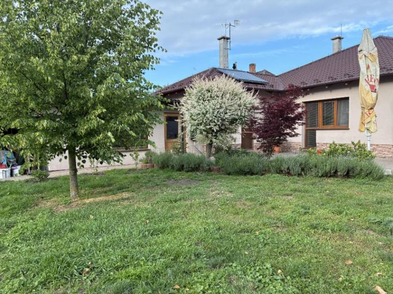 A family house in Malacky with a blooming garden and lawn, a tree and bushes in front of the house.