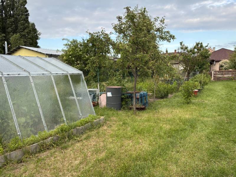 A garden at a family house in Malacky with a greenhouse and fruit trees.