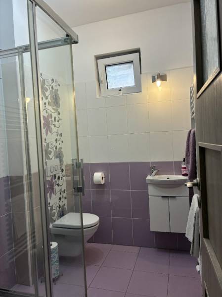 Bathroom with tiles in a family house, shower, sink, toilet.