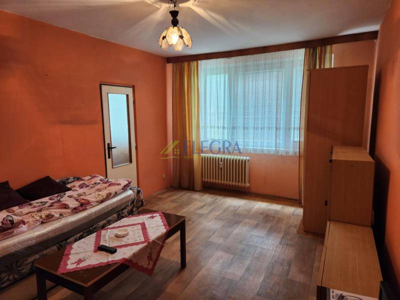 Living room in a studio apartment with a sofa, table, and a window with a radiator.