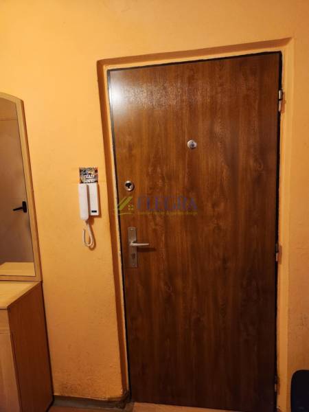 Wooden entrance door in a one-room apartment, next to it is an intercom and a wardrobe.